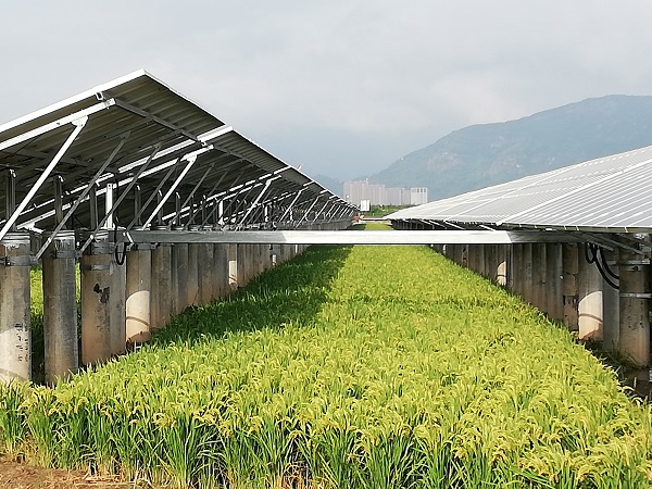 ΢ÐÅͼƬ_20190517091936.jpg ΢ÐÅͼƬ_20190517091936.jpg