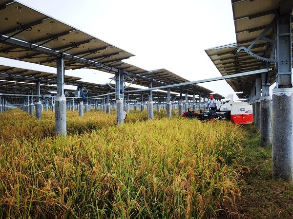 ΢ÐÅͼƬ_202109301442248.jpg ΢ÐÅͼƬ_202109301442248.jpg