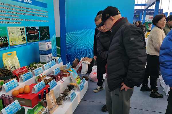 网站.png 网站.png